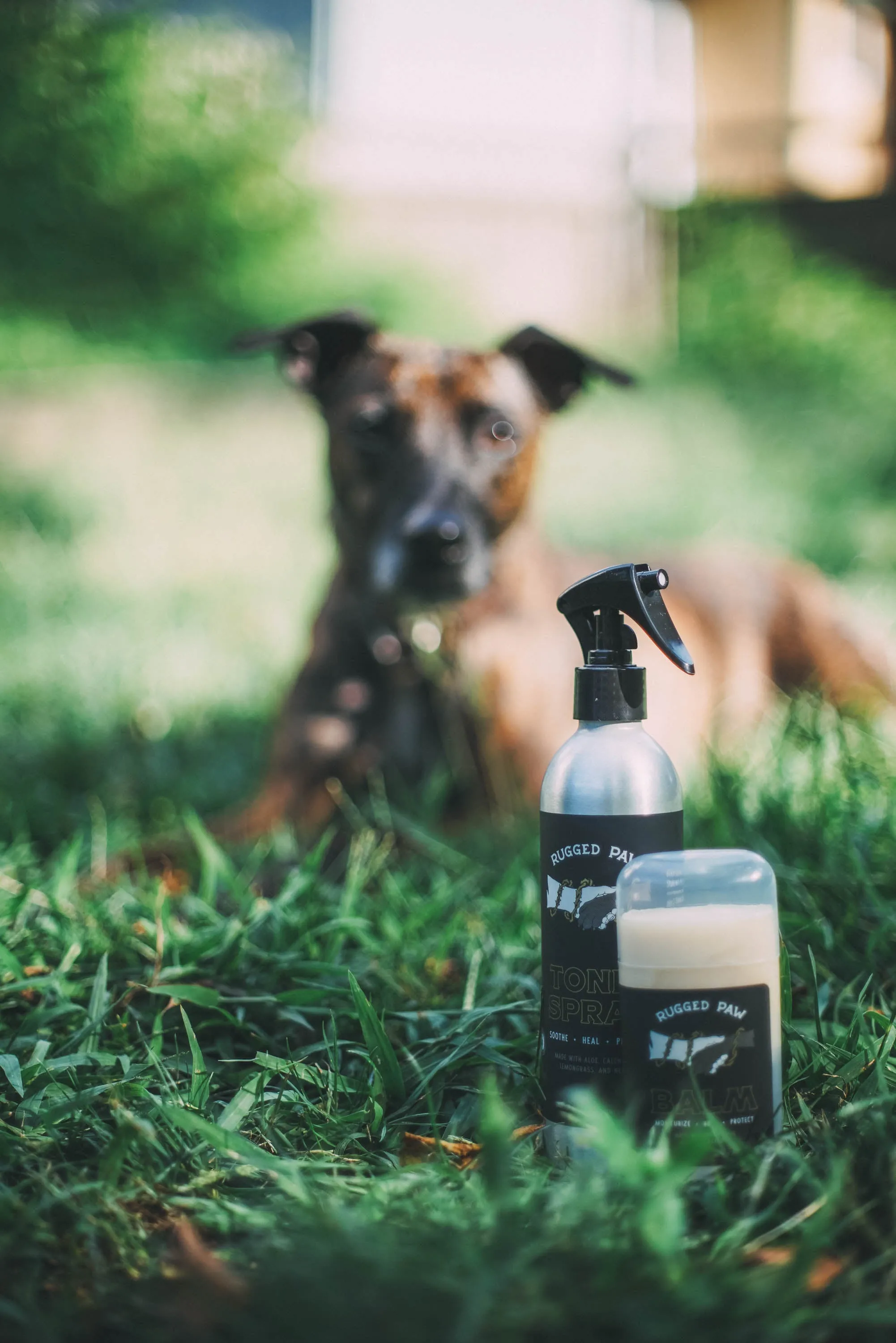All Natural Healing & Bug Spray & Paw Balm | Rugged Paw