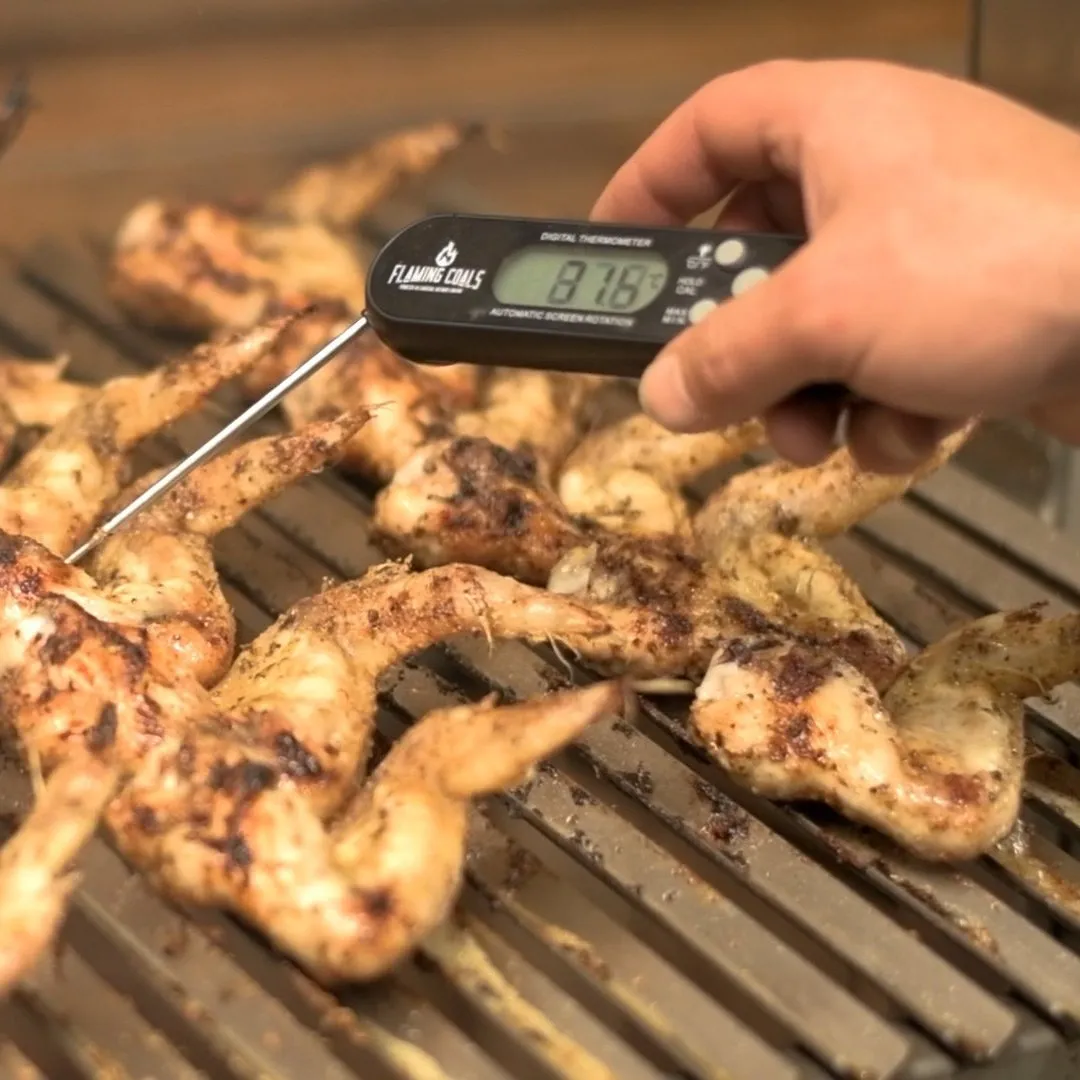 Argentinian Parrilla Grill with Rotisserie 2024