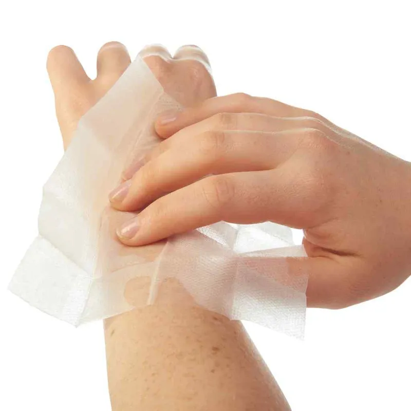 Ben's 30 Tick & Insect Repellent Wipes 30% Deet 4 pc Travel Pack