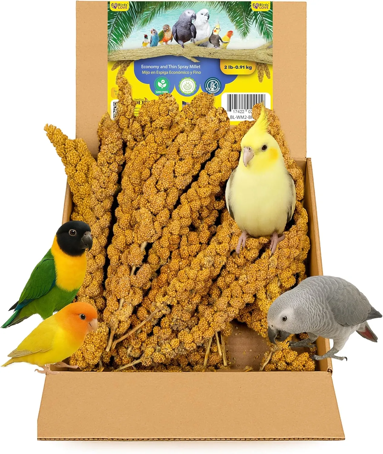 Birds LOVE Wholesome & Lovely Spray Millet Non-GMO for Birds Cockatiel Lovebird Parakeet Finch Canary All Parrots Healthy Treat - 2LBS