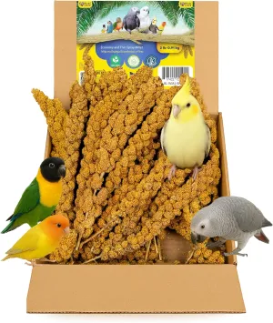 Birds LOVE Wholesome & Lovely Spray Millet Non-GMO for Birds Cockatiel Lovebird Parakeet Finch Canary All Parrots Healthy Treat - 2LBS