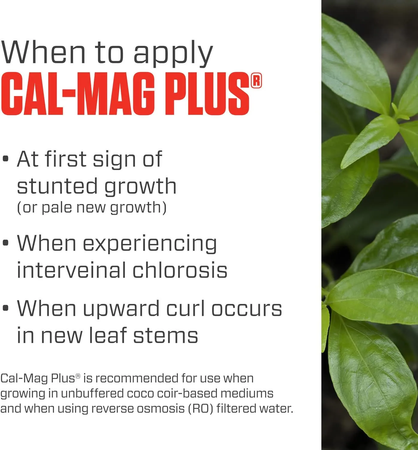 Botanicare Cal-Mag Plus, A Calcium, Magnesium, and Iron Plant Supplement, Corrects Common Plant Deficiencies, Add to Water or Use as a Spray, 2-0-0 NPK, 1-Gallon