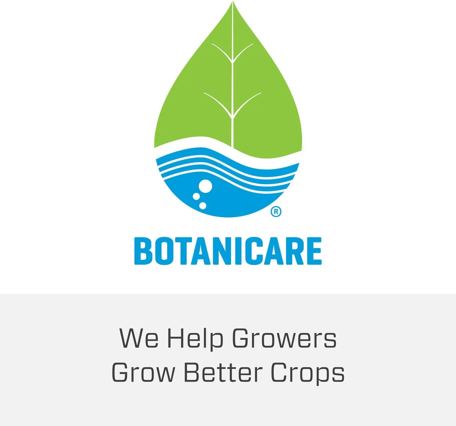 Botanicare Cal-Mag Plus, A Calcium, Magnesium, and Iron Plant Supplement, Corrects Common Plant Deficiencies, Add to Water or Use as a Spray, 2-0-0 NPK, 1-Gallon