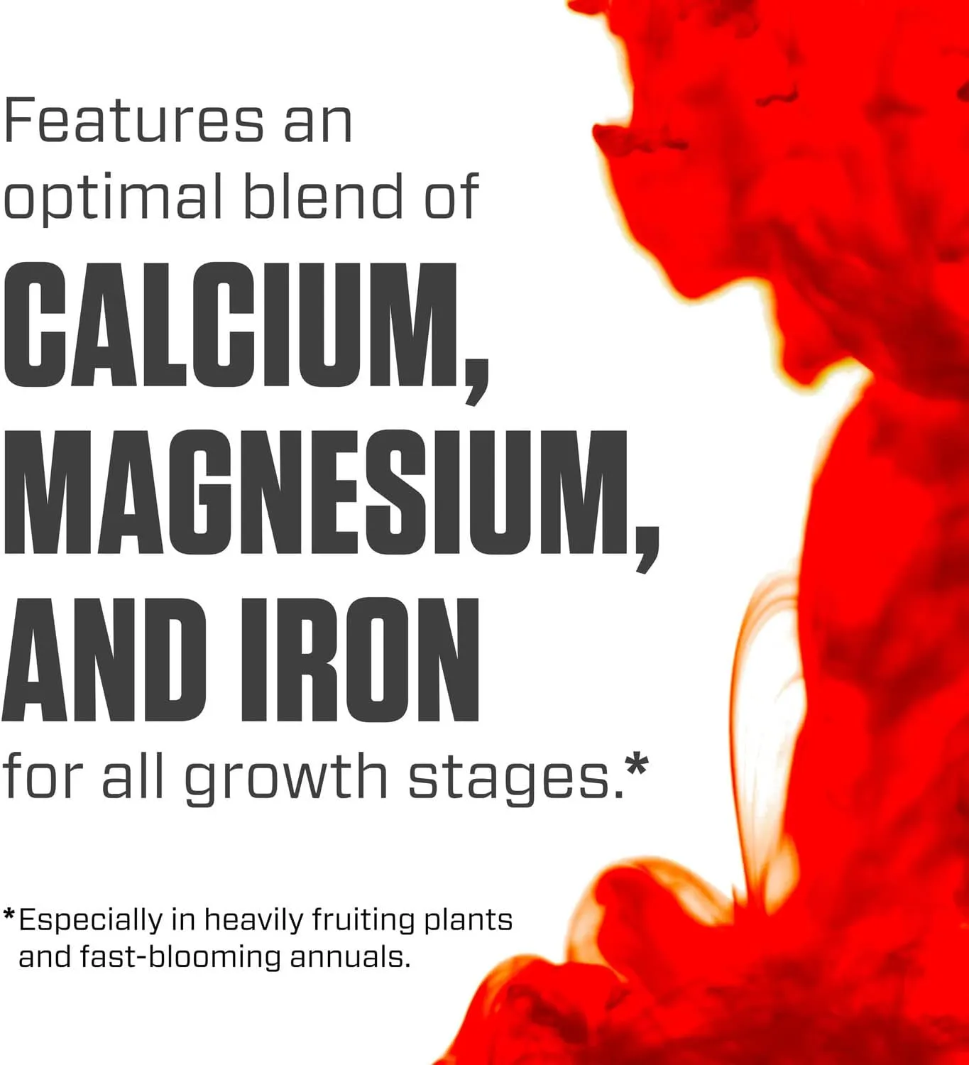 Botanicare Cal-Mag Plus, A Calcium, Magnesium, and Iron Plant Supplement, Corrects Common Plant Deficiencies, Add to Water or Use as a Spray, 2-0-0 NPK, 1-Gallon