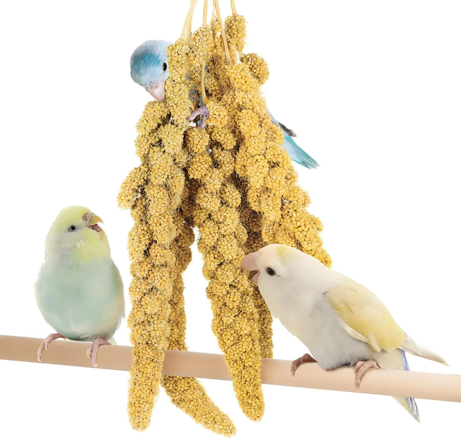 BUCATSTATE Spray Millet for Birds, Sun-Dried Healthy Millet Parakeet Treats for Parrots Cockatiel Lovebird Finch, GMO-Free Parakeet Food - 1.1lb
