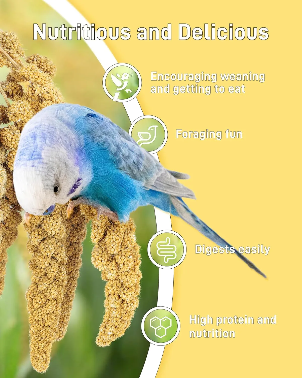 BUCATSTATE Spray Millet for Birds, Sun-Dried Healthy Millet Parakeet Treats for Parrots Cockatiel Lovebird Finch, GMO-Free Parakeet Food - 1.1lb