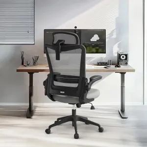 C6 Grey Ergonomic Office Desk Chair with Lumbar Support 2D Headrest Flip Up 4D Armrest 120° Rocking Mesh Computer Chair Office Chairs for Office Home Conference Room Usage