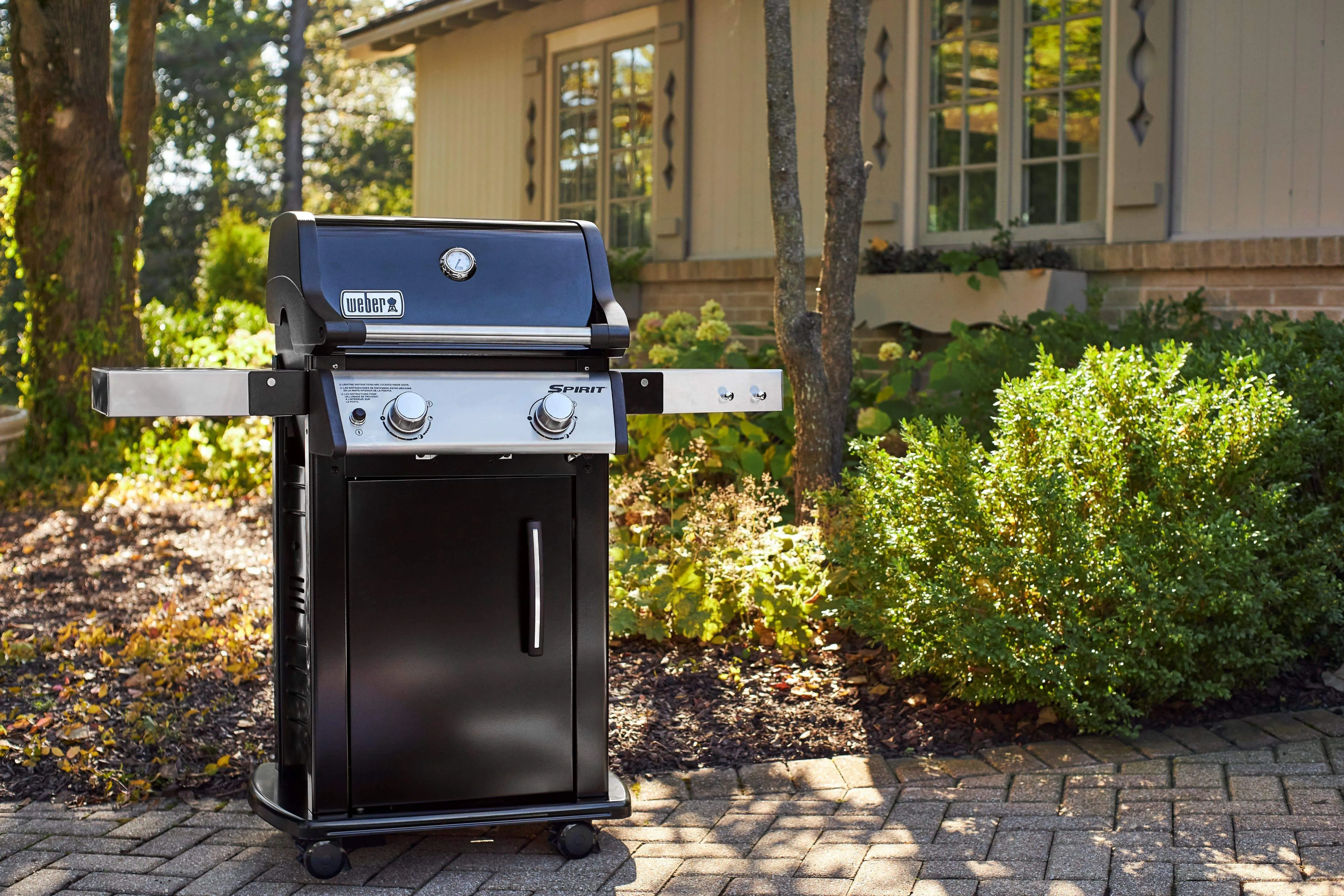 Cooking Spirit Cast-Iron Smart-powered Limited stock Grates BBQ E-215 with in Black Weber 2-Burner