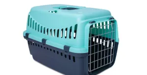 ECO Gipsy Carrier (Ice Blue, Large) | Bergamo