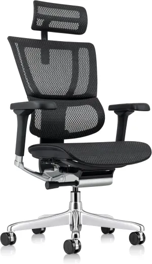 Ergohuman Eurotech ME2ERG-XTREME High Back Mesh Office Chair with Tilt Tension Control, Tilt Lock, Back Angle, Back Height, Synchro Tilt, Seat Height, Seat Depth, and Arm Height Adjustments
