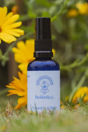 Holistica Natural Bug Spray 50ml