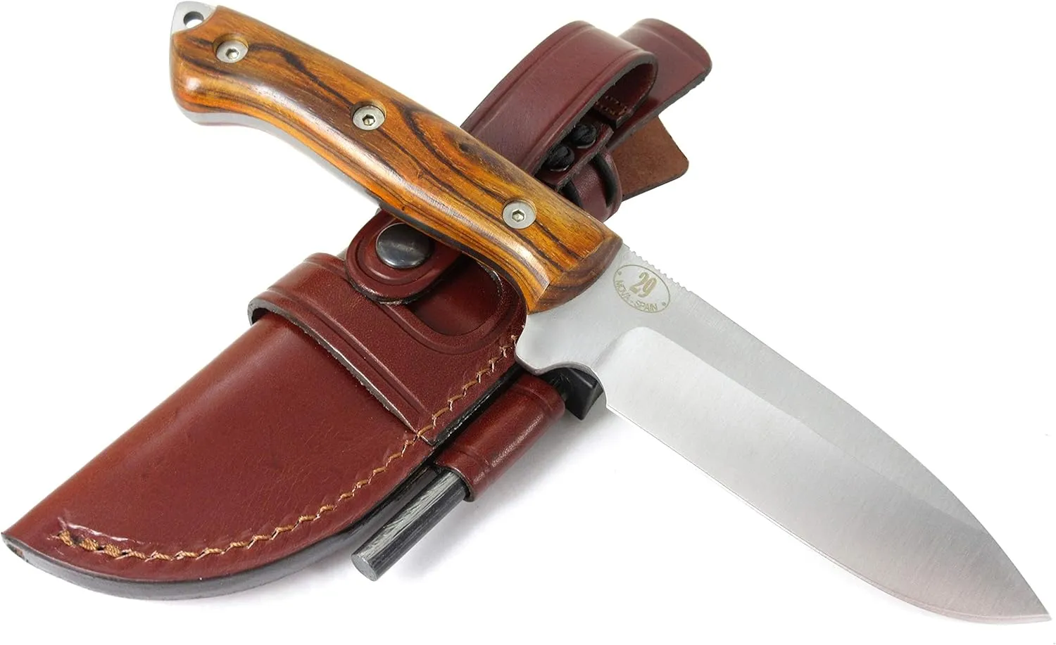 JEO-TEC Nº29 Bushcraft Survival Hunting Camping Knife - MOVA-58 Stainless Steel - Cocobolo Wood Handle - 10'' Overall - Multi-positioned Leather Sheath - Handmade in Spain