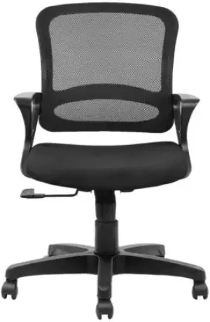 Low Back Executive Chair with Nylon Base