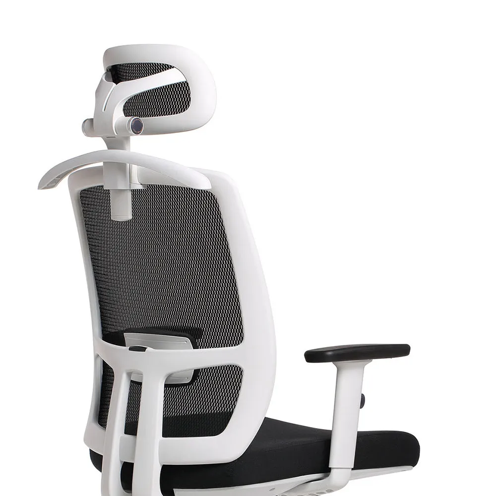 Luminous - Mesh Office Chair