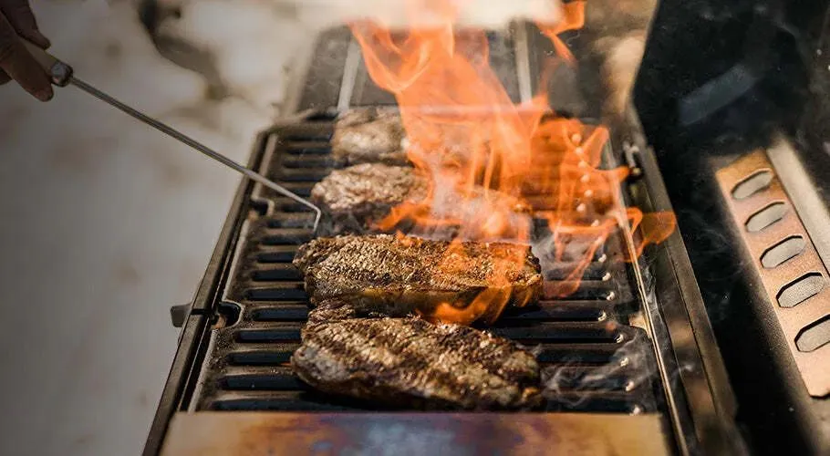 Masterbuilt Portable Charcoal Grill   Smoker - MB20040722