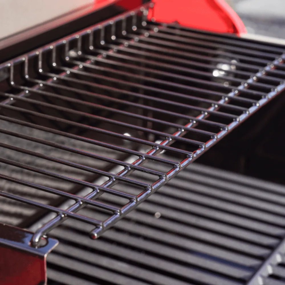 Mesa 200 | Matte Color Propane Gas Grill