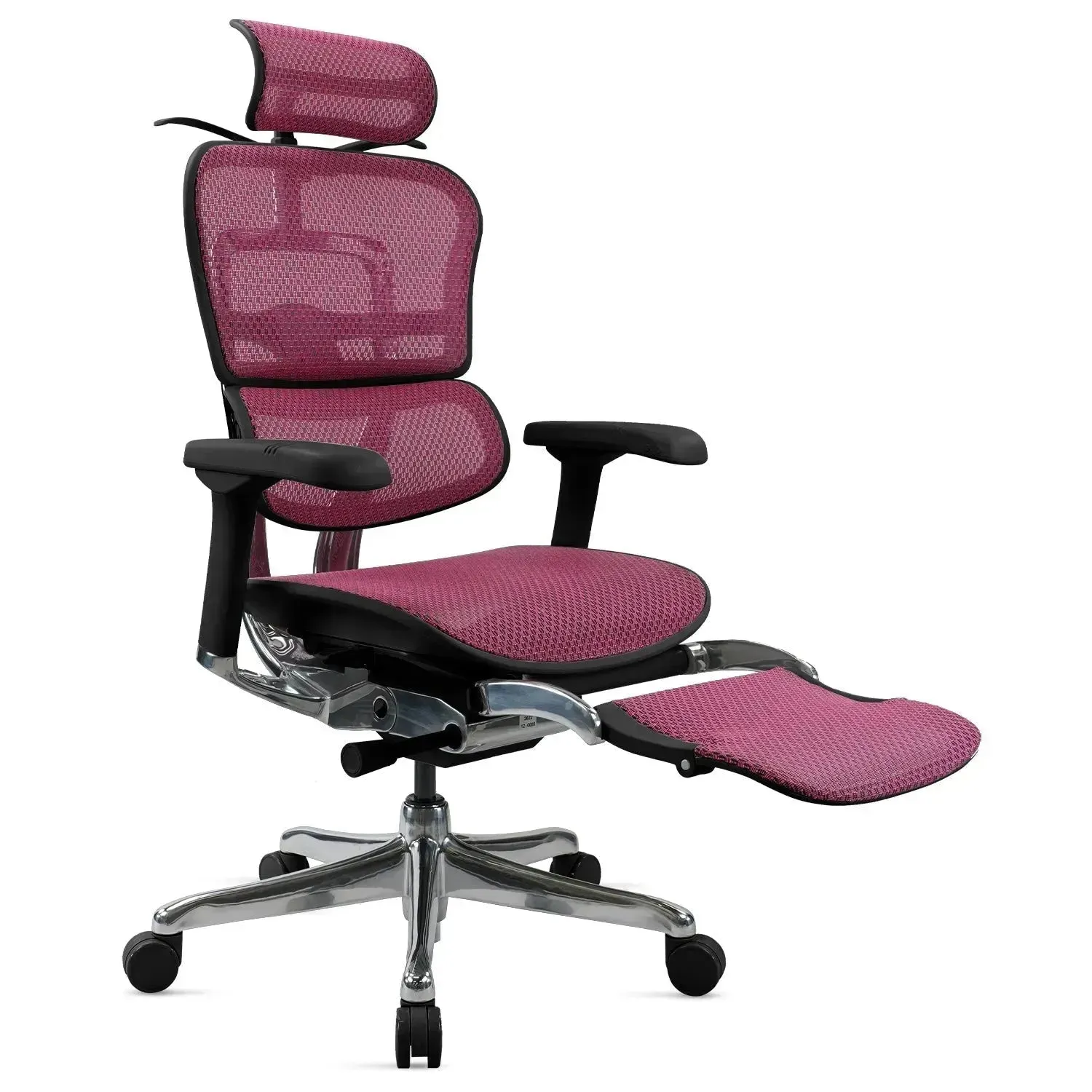 Modern Mesh Ergonomic Office Chair Black Frame With Legrest ERGOHUMAN E2