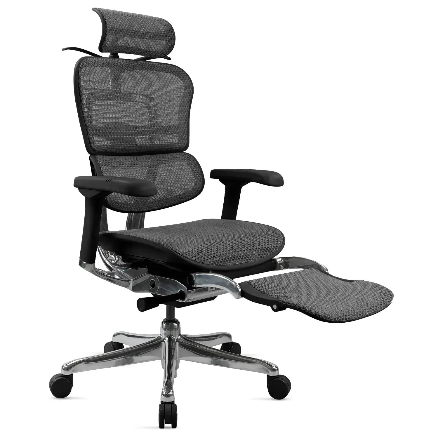Modern Mesh Ergonomic Office Chair Black Frame With Legrest ERGOHUMAN E2