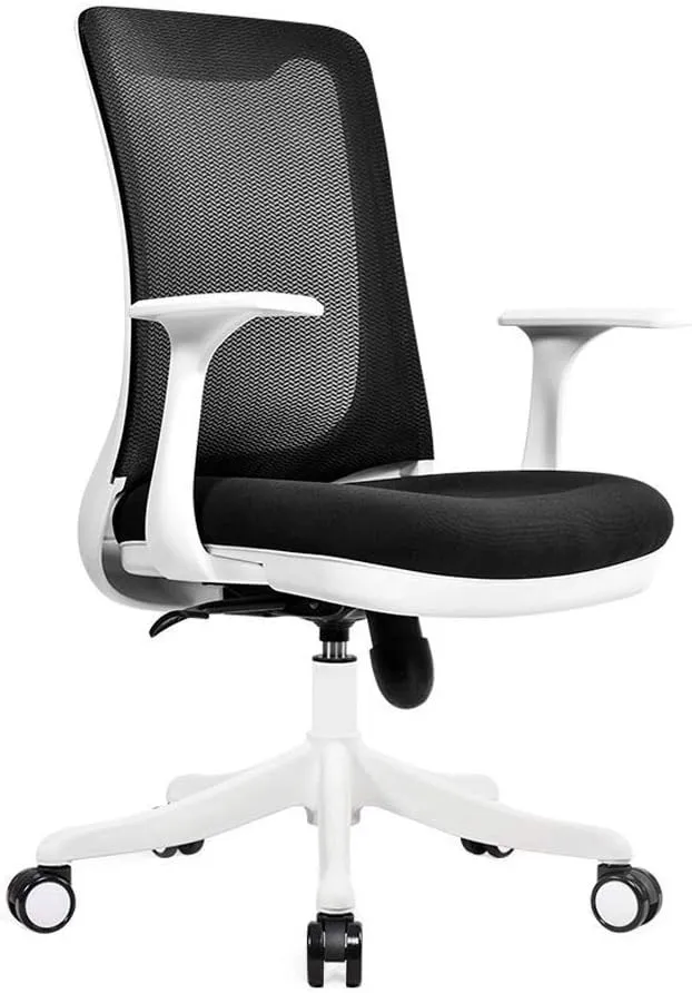 Office Chair, Computer Desk Chair Ergonomic Five-Claw High-Density Breathable Mesh 360° Rotating Office (Color : A) TDFF (B)
