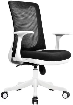 Office Chair, Computer Desk Chair Ergonomic Five-Claw High-Density Breathable Mesh 360° Rotating Office (Color : A) TDFF (B)