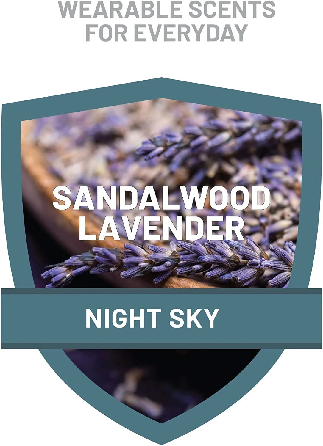 Ranger Ready Picaridin Insect Repellent & Tick Spray - Night Sky Scent, DEET-Free, 8 oz. (Single Pack)
