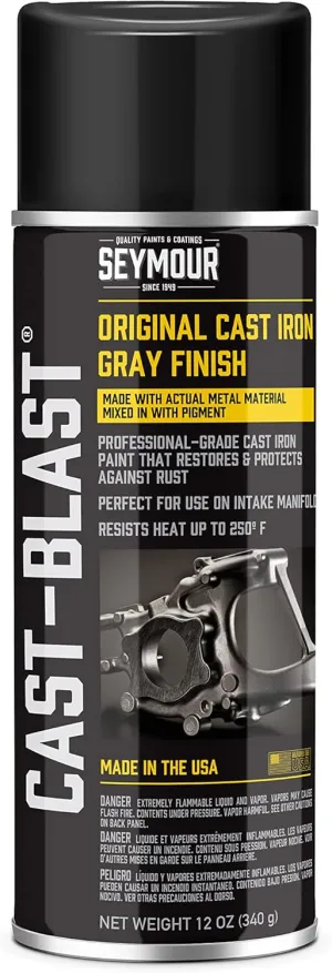 Seymour CA16-48 Cast Blast Spray Paint 12 Ounce (Pack of 1)