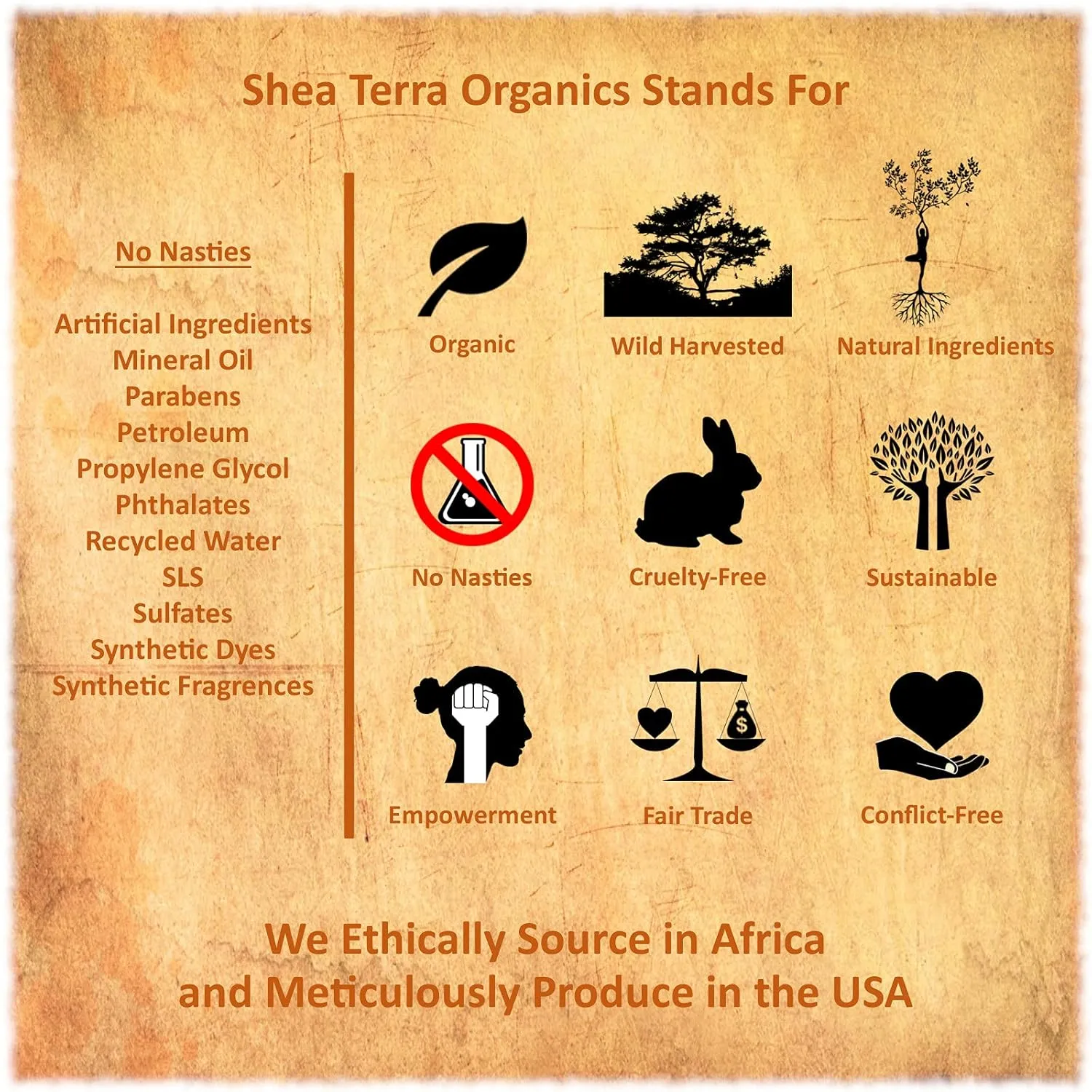 Shea Terra Egyptian Calendula Cold-Pressed Extra Virgin Oil | All Natural & Organic Oil Packed with Skin-Calming and Purifying Properties to Soothe Irritated, Weathered & Sun-Burned Skin – 2 oz