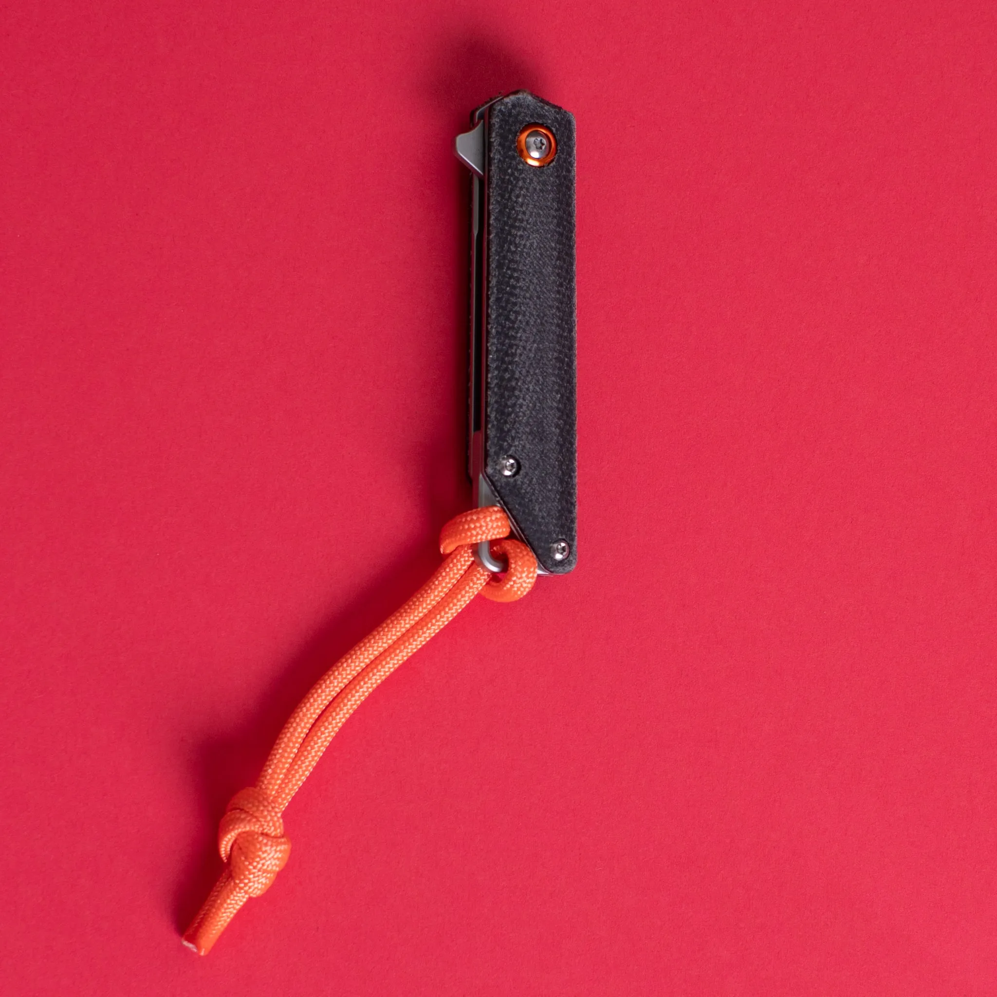 The_Hunter's Scalpel