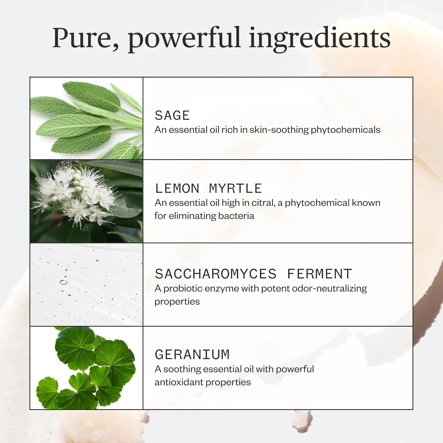 Ursa Major Sublime Sage Natural Spray Deodorant | Aluminum-free, Vegan, Cruelty-free, Non-Staining | 1.79 ounces