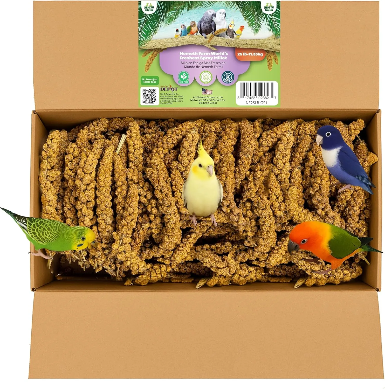 Worlds Freshest Spray Millet The Original Bird Treat & Supplement GMO-Free No Pesticides (No Stems Only Edible Tops) for Parakeets, Cockatiels, Lovebirds (25 Pound (Pack of 1))