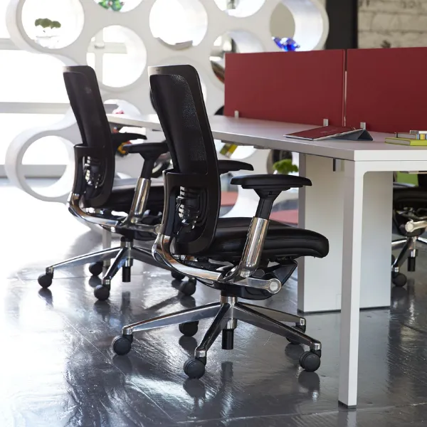 Zody Chair